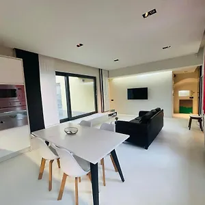 Down Town Penthouse With Private Parking Appartement